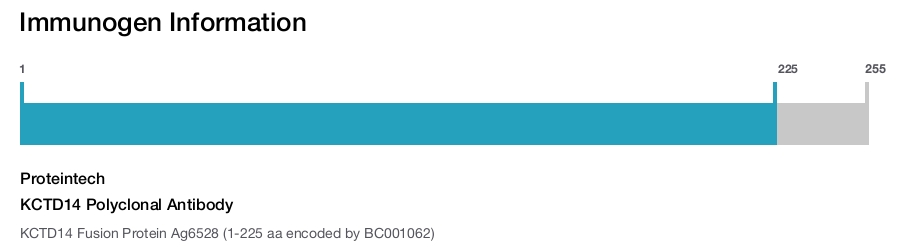 KCTD14 Polyclonal Antibody