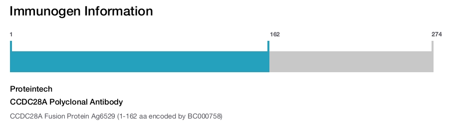 CCDC28A Polyclonal Antibody