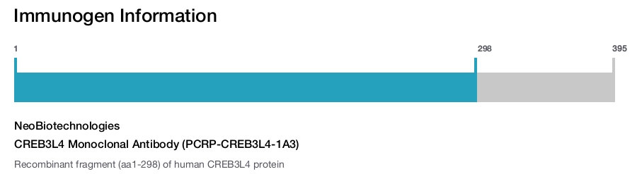 CREB3L4 Monoclonal Antibody (PCRP-CREB3L4-1A3)