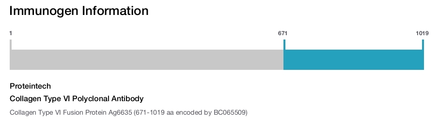 Collagen Type VI Polyclonal Antibody