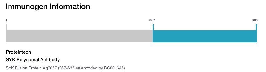 SYK Polyclonal Antibody