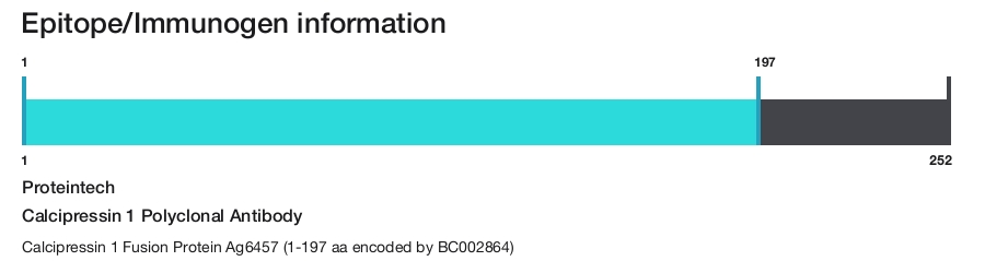 Calcipressin 1 Polyclonal Antibody