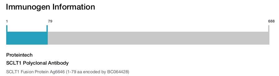SCLT1 Polyclonal Antibody