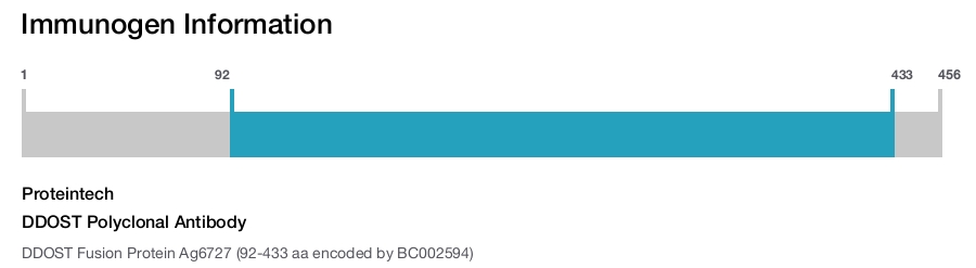 DDOST Polyclonal Antibody