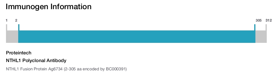 NTHL1 Polyclonal Antibody