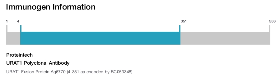 URAT1 Polyclonal Antibody