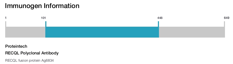 RECQL Polyclonal Antibody