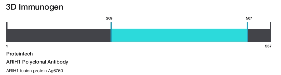 ARIH1 Polyclonal Antibody