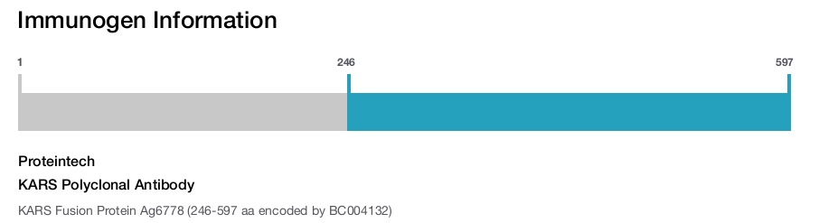 KARS Polyclonal Antibody