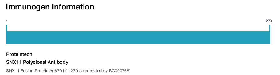 SNX11 Polyclonal Antibody