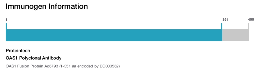 OAS1 Polyclonal Antibody
