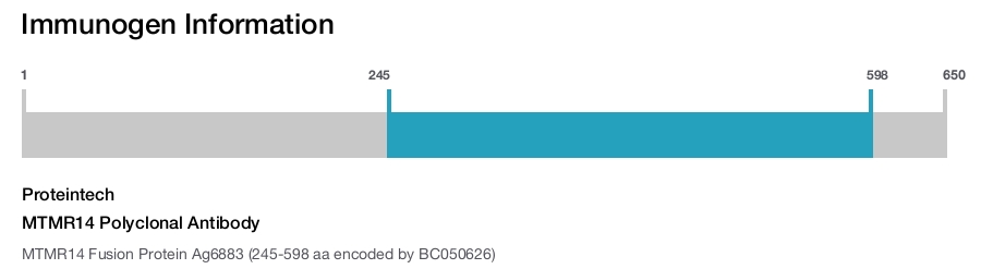 MTMR14 Polyclonal Antibody