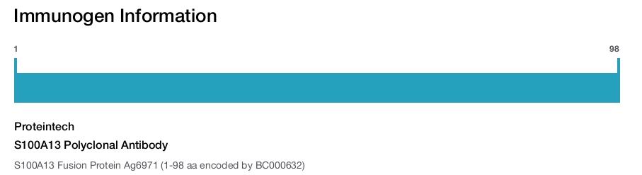S100A13 Polyclonal Antibody