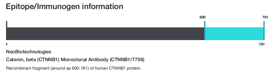 Catenin, beta (CTNNB1) Monoclonal Antibody (CTNNB1/7759)