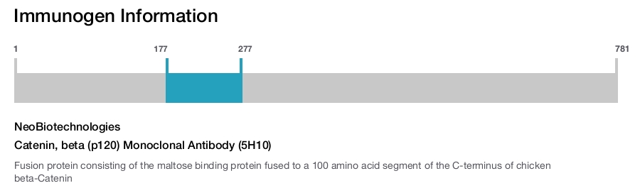 Catenin, beta (p120) Monoclonal Antibody (5H10)