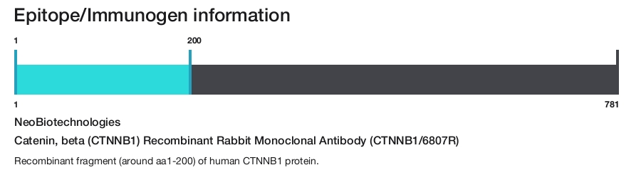 Catenin, beta (CTNNB1) Recombinant Rabbit Monoclonal Antibody (CTNNB1/6807R)