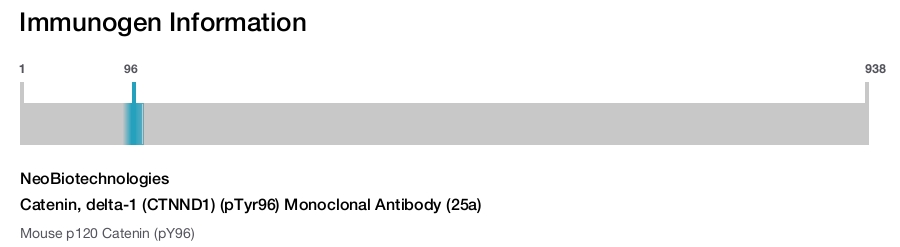 Catenin, delta-1 (CTNND1) (pTyr96) Monoclonal Antibody (25a)