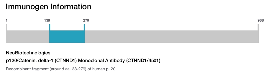 p120/Catenin, delta-1 (CTNND1) Monoclonal Antibody (CTNND1/4501)