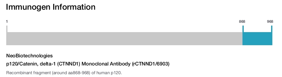 p120/Catenin, delta-1 (CTNND1) Monoclonal Antibody (rCTNND1/6903)