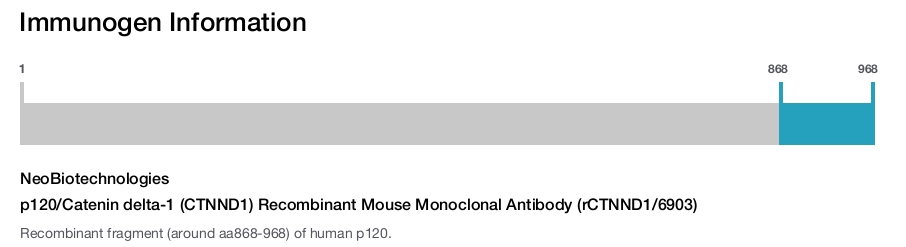 p120/Catenin delta-1 (CTNND1) Recombinant Mouse Monoclonal Antibody (rCTNND1/6903)
