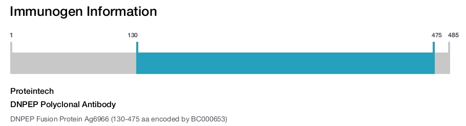 DNPEP Polyclonal Antibody