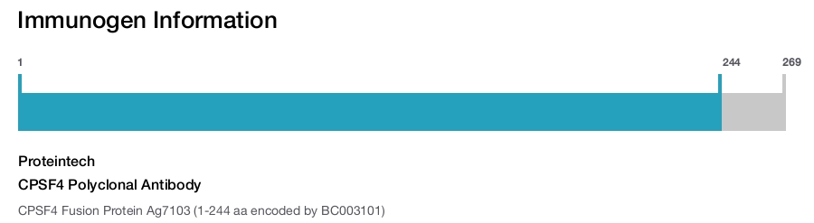 CPSF4 Polyclonal Antibody