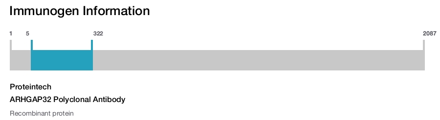 ARHGAP32 Polyclonal Antibody