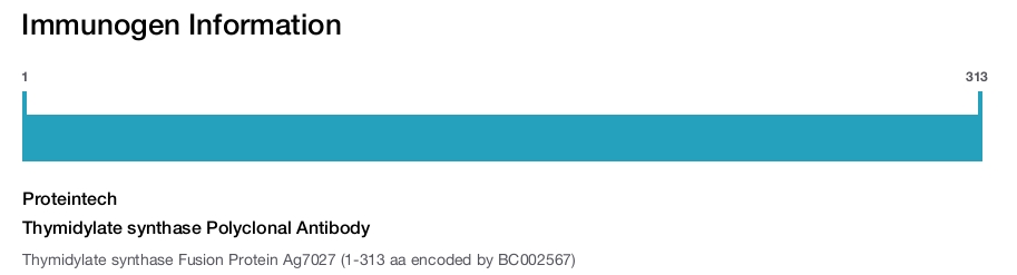 Thymidylate synthase Polyclonal Antibody