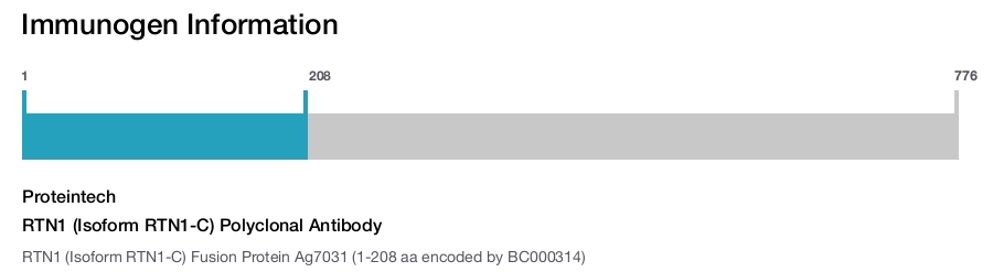 RTN1 (Isoform RTN1-C) Polyclonal Antibody