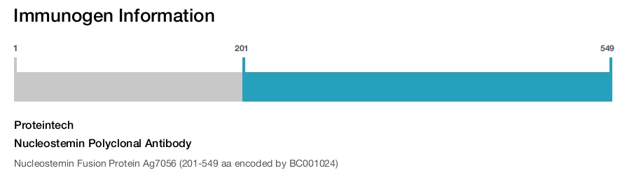 Nucleostemin Polyclonal Antibody