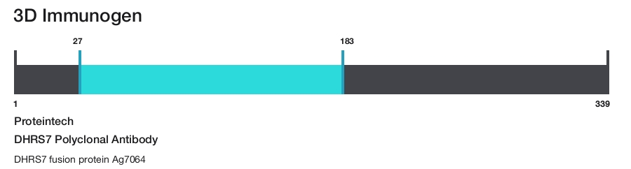 DHRS7 Polyclonal Antibody
