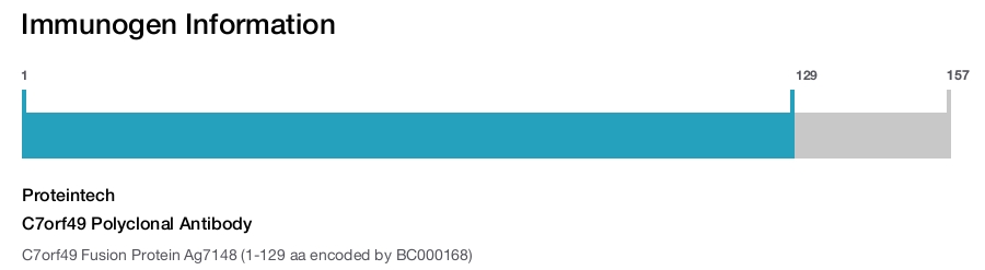 C7orf49 Polyclonal Antibody