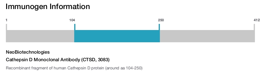 Cathepsin D Monoclonal Antibody (CTSD, 3083)