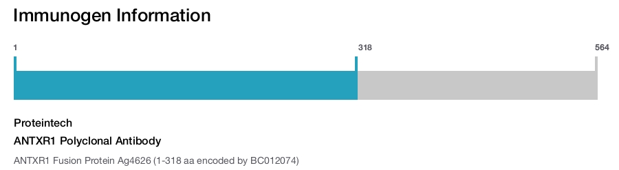 ANTXR1 Polyclonal Antibody