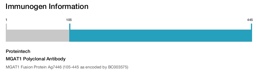 MGAT1 Polyclonal Antibody