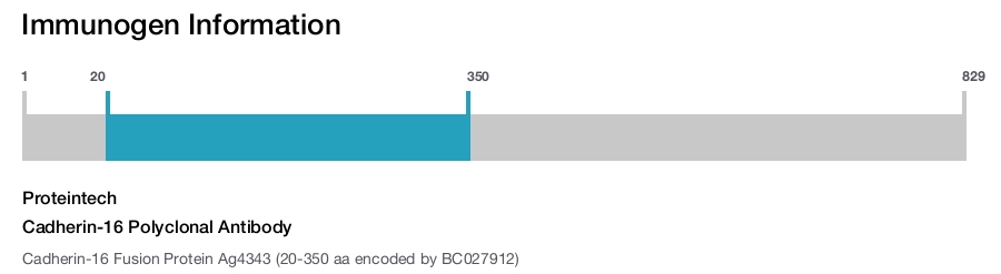 Cadherin-16 Polyclonal Antibody