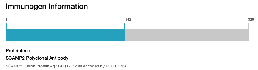 SCAMP2 Polyclonal Antibody