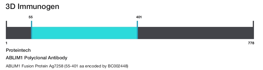 ABLIM1 Polyclonal Antibody