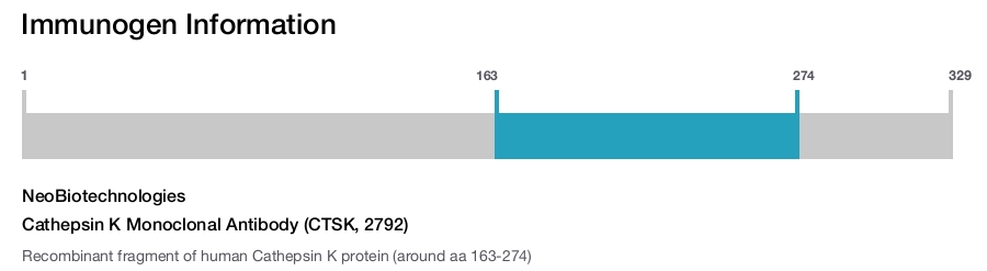 Cathepsin K Monoclonal Antibody (CTSK, 2792)