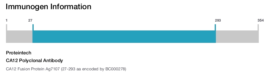 CA12 Polyclonal Antibody