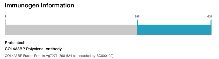 COL4A3BP Polyclonal Antibody