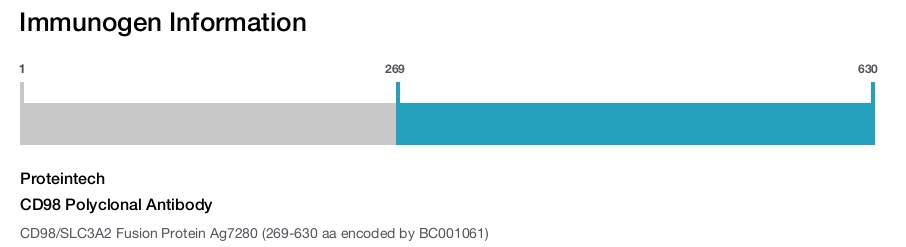 CD98 Polyclonal Antibody