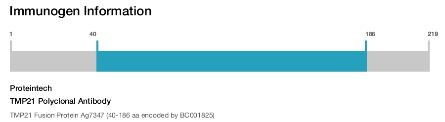 TMP21 Polyclonal Antibody