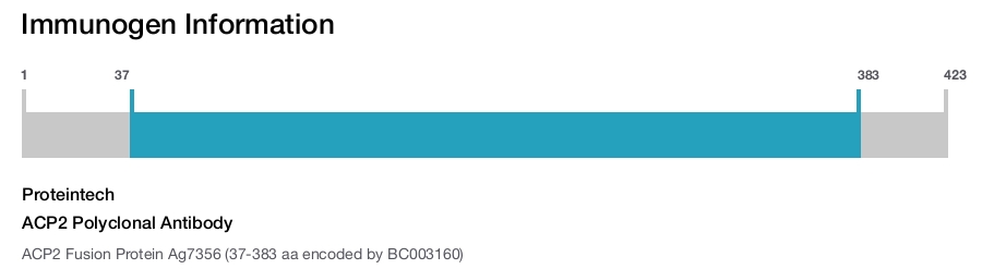 ACP2 Polyclonal Antibody