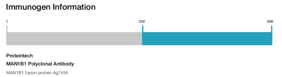 MAN1B1 Polyclonal Antibody