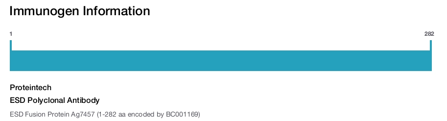 ESD Polyclonal Antibody