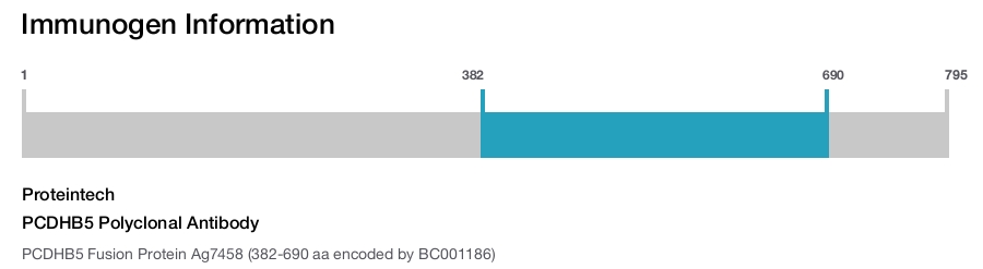 PCDHB5 Polyclonal Antibody