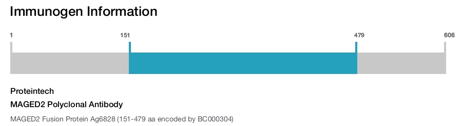 MAGED2 Polyclonal Antibody