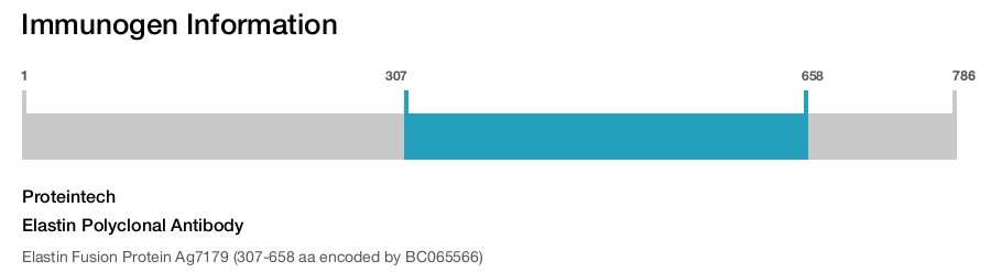 Elastin Polyclonal Antibody