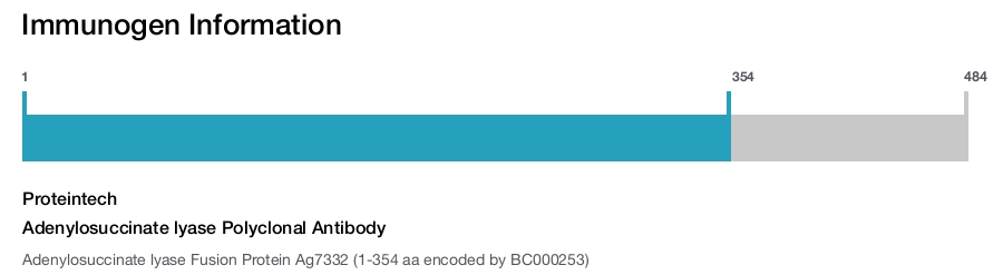 Adenylosuccinate lyase Polyclonal Antibody
